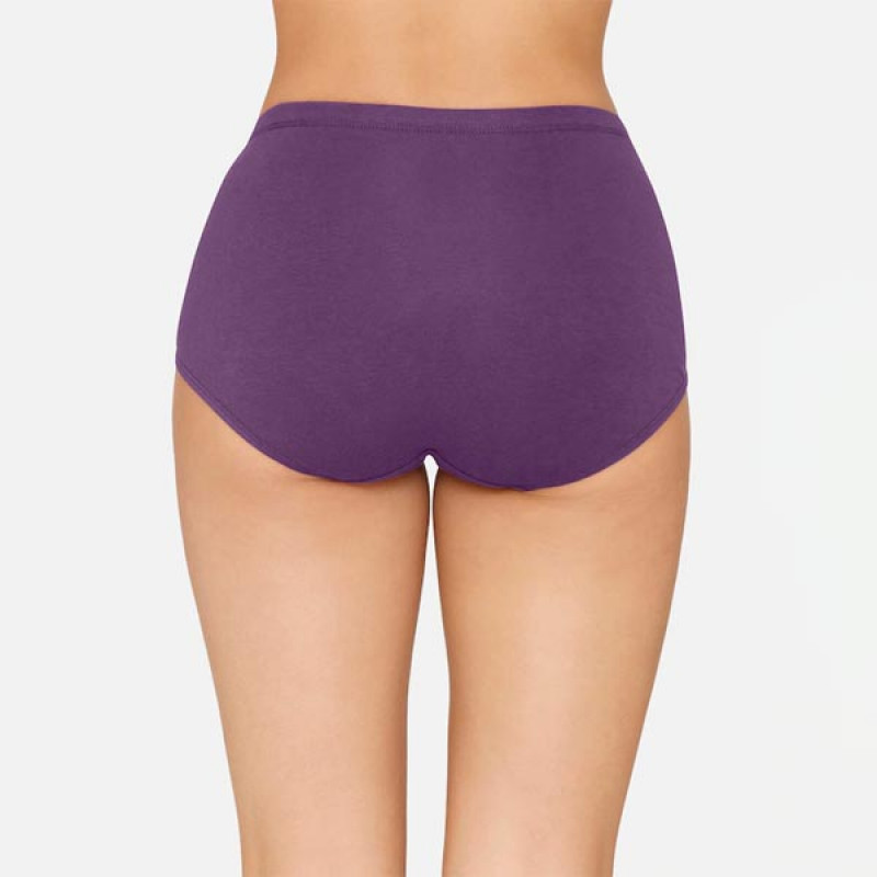 Women Brown & Purple Pack Of 3 Solid Basic Briefs